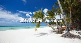 北方人能喝广东凉茶吗