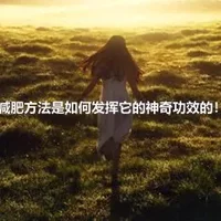 音乐减肥方法是如何发挥它的神奇功效的！方法