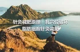 针灸减肥原理：扎穴位破坏脂肪细胞针灸减肥