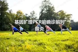 基因扩增PCR能确诊前列腺炎