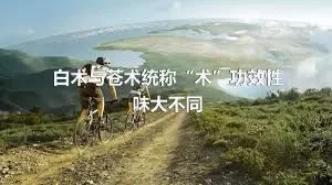 白术与苍术统称“术”功效性味大不同