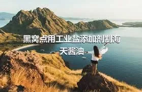 黑窝点用工业盐添加剂制海天酱油