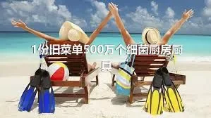 1份旧菜单500万个细菌厨房厨具