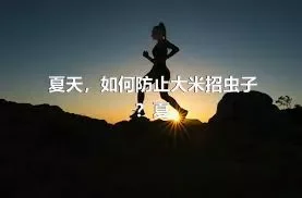 夏天，如何防止大米招虫子？夏