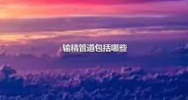 输精管道包括哪些