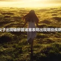 女子出现输卵管堵塞表明出现哪些疾病?