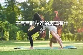 子宫宫腔粘连的表现有什么