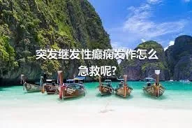 突发继发性癫痫发作怎么急救呢?