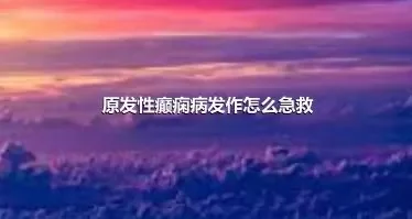 原发性癫痫病发作怎么急救