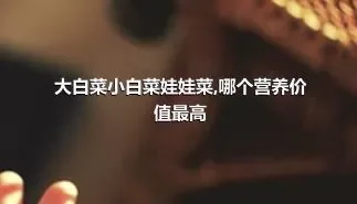 大白菜小白菜娃娃菜,哪个营养价值最高