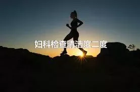 妇科检查清洁度二度