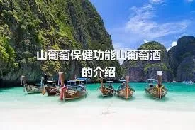 山葡萄保健功能山葡萄酒的介绍