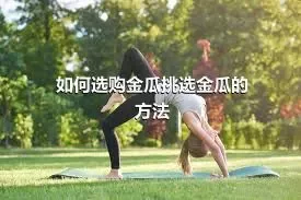 如何选购金瓜挑选金瓜的方法