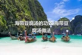 海带豆腐汤的功效,海带豆腐汤做法