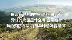 白带有异味的中药治疗,白带有异味的病因是什么呢,白带有异味的预防方法,白带异味意味着是什么疾病