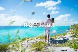 什么是试管婴儿