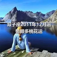 双子座2011年12月运势颇多桃花运