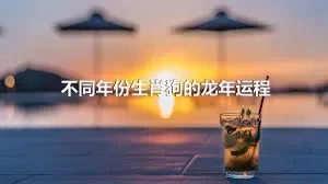 不同年份生肖狗的龙年运程