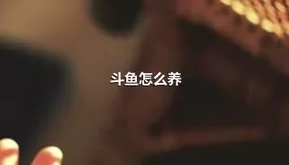 斗鱼怎么养