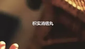 枳实消痞丸