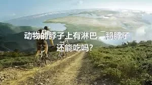 动物的脖子上有淋巴，鸭脖子还能吃吗？