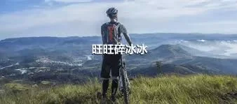 旺旺碎冰冰