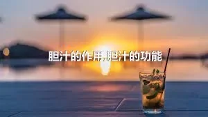 胆汁的作用,胆汁的功能