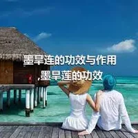 墨旱连的功效与作用,墨旱莲的功效