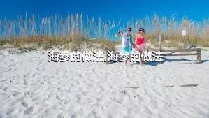 海参的做法,海参的做法