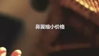 鼻翼缩小价格