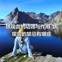 铁观音的功效与作用_铁观音的禁忌有哪些