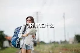 明列子是什么