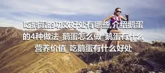 吃鹅蛋的功效好处有哪些_介绍鹅蛋的4种做法