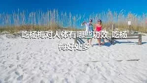 吃杨梅对人体有哪些功效_吃杨梅好处多