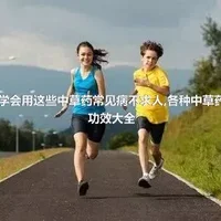 学会用这些中草药常见病不求人,各种中草药功效大全