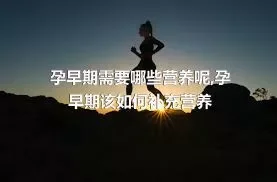 孕早期需要哪些营养呢,孕早期该如何补充营养