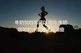 牛奶加咖啡可以喝吗,牛奶咖啡的冲泡方法有哪些