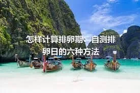 怎样计算排卵期：自测排卵日的六种方法