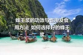 蜂王浆的功效与作用及食用方法_如何选择好的蜂王浆