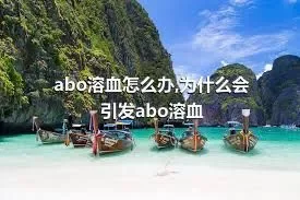 abo溶血怎么办,为什么会引发abo溶血