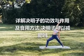 详解决明子的功效与作用及食用方法,决明子可以减肥吗