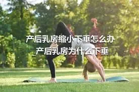 产后乳房缩小下垂怎么办_产后乳房为什么下垂