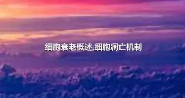 细胞衰老概述,细胞凋亡机制