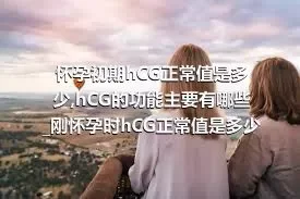 怀孕初期hCG正常值是多少_hCG的功能主要有哪些