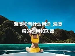 海藻粉有什么用途_海藻粉的作用和功效