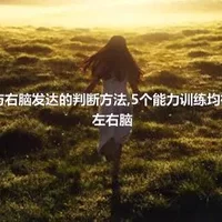 左脑发达与右脑发达的判断方法,5个能力训练均衡开发幼儿左右脑