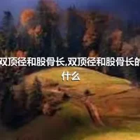 什么是双顶径和股骨长,双顶径和股骨长的标准是什么