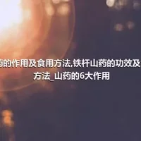 山药的作用及食用方法_铁杆山药的功效及食用方法