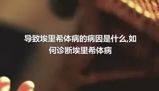 导致埃里希体病的病因是什么,如何诊断埃里希体病