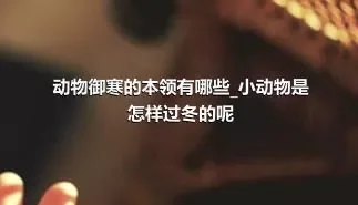 动物御寒的本领有哪些_小动物是怎样过冬的呢